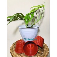 MERAH 8cm Red Wasp Pot/8Cm Red Wasp Pot/Wasp Pot/Red Pot/Small Pot/Sukelen Pot