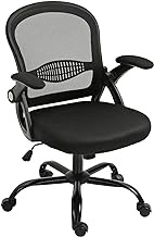 Loyrus Office Chair, Ergonomic Desk Chair with Lumbar Support and Adjustable Height Swivel Computer Chair with Flip-up Arms, Mesh Home Office Chair for Work, Study, Gaming (Black)