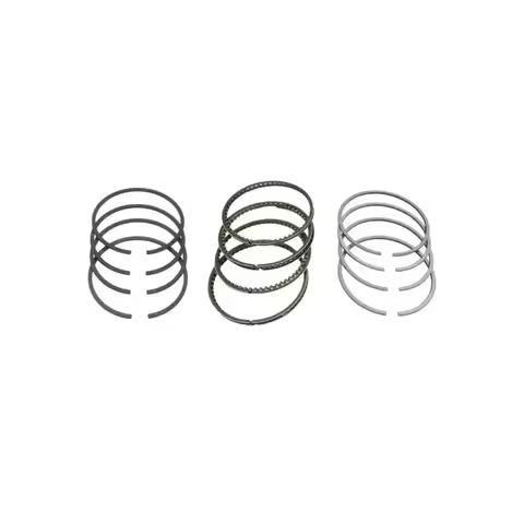PISTON RING (STD) CHANA effa