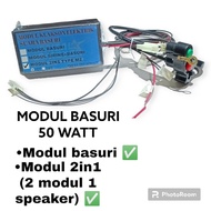 Basuri Speaker Module M2 50 Watt basuri module 2 modules 1 speaker