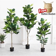 [SG SELLER] Artificial Plant Artificial Fiddle Fig Leaf Potted Plants Artificial Tree Fake Plant Fau