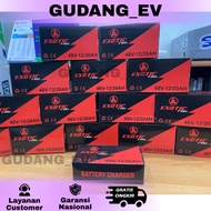 EXOTIC 48V / 12 Ah Electric Bike Charger Selis Charger / Exotic Electric Bike Charger 48V-12/20Ah