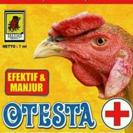 otesta ayam burung obat tetes mata telinga kuping radang kopok congek