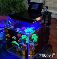 珊瑚缸海水缸海魚缸全自動系統(小丑，鈕扣，藍吊，火柴，豬腰，LPS)