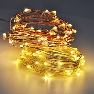 【DREAM LIGHTS】聖誕燈飾|LED燈串 USB/8段功能 暖光色5/10米