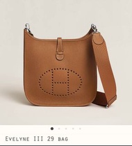 Hermes evelyne 29