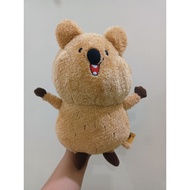 Quokka animal plush toy p42