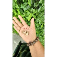 BATU TERAS MANI GAJAH