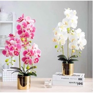 【MO】Artificial Orchids Flowers in Gold Pot Fake Orchid Plants, Home Office Party Wedding Decoration Fake Flowers