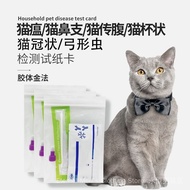 Cat Test Paper Cat Cup Test Paper/9.17