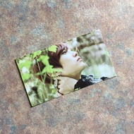 B1A4 Jinyoung In The Wind Official Korean Album Photocard