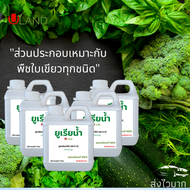 Uland ยูเรียน้ำ 46-0-0 อินทรีย์ สูตรเข้มข้น ขนาดรวม 5 ลิตร ไนโตรเจนสูง ปุ๋ยน้ำ ชีวภาพ พืชใบเขียว ช่ว