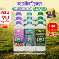 ( 3ชุด 9 ขวด ) CABMAX แคลเซียมโบรอนเข้มข้น + VAMAX ธาตุอาหารรวมเข้มข้น + ZENMAX อะมิโนรวมเข้มข้น