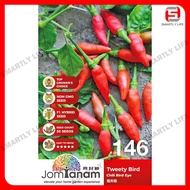 Chili Bird Eye Tweety Bird Benih Cili Mata Burung Tweety Bird 指天椒 Jom Tanam Seeds 种子 JT-146