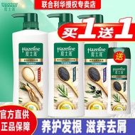 ST/🍅Authentic Hazeline Shampoo Black Sesame Nourishing Hair Root Anti-Dandruff Shampoo Ginger for Men and Women Shampoo