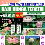 Baja Lotus Water Lilies Bowl Lotus Water Lilies Special Fertilizer莲花专用营养液荷花睡莲养花