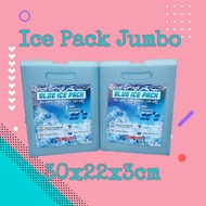 Ice Pack Jumbo (Cooler Box/Box Sterofoam Es Krim)