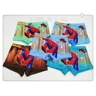 SUETERKU IMPORTED BOYS' BOXERS