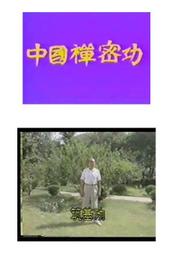 劉漢文先生《中國禪密氣功》10集視頻 《中國禪密功1〜6部功》618頁電子版配隨身碟
