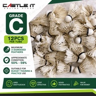 Used Training Shuttlecock Mixed Brand Badminton Feather Shuttlecock 12PCS Practice Warm Up