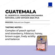 Bluekoff เมล็ดกาแฟ อราบิก้า 100% Guatemala El Injerto El Pandora Pacamara Natural Low Oxygen 2024 PC