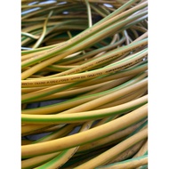 THE CABLE IS 10MM GROUNDING METAL CABLE /PERMETER