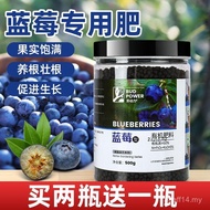 Blueberry Special Fertilizer Blueberry Tree Granular Fertilizer Fruit Seedling Potted Organic Fertil