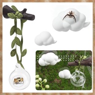 [K U Y G] 4pcs Jumping Spider Hide Glass Ball Habitat Cloud Platform Ledges Jumping Spider for Decor
