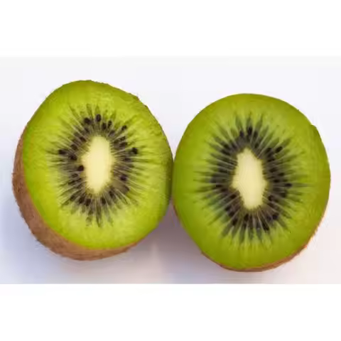 Hard Case for Microsoft Surface Pro 6/Pro 5/Pro 4 for Microsoft Surface Pro 7 Plus/Pro 7 Compatible 