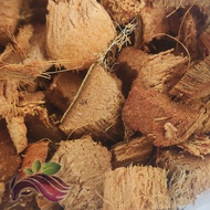 [Substrate] Coconut Husk Chip Sabut Kelapa Cincang Potong 2.5Liter Sansevieria Tanah Soil Gardening 