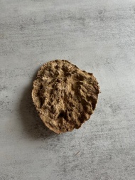 野生芽莊沉香老料S21(16克)