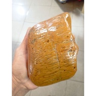 RAW umbi fossil nibong nibung jadi batu
