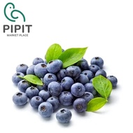 Blueberry 125G ( Beri Biru / 蓝莓 )