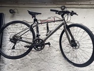 Giant FastRoad Road Bike