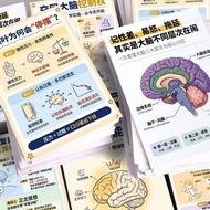 特惠捡漏 特惠捡漏 恢复优秀的前额叶功能实操版方法贴纸专注力训练清除脑雾脑科学贴 Special Offer: Practical Methods for Restoring Excellent Fr
