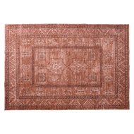 Vintage Ethnic Design Area Rug Persian Pattern Carpet & Home Decor 5x7 ft Living Room Rug Non-Slip M