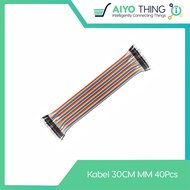 30 CM Male to Male Jumper Cable 30CM MM Male Male 40 Arduino