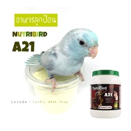 อาหารลูกป้อน Nutribird A21 Verselelaga อาหารลูกนก อาหารนก อาหารลูกนกแรกเกิด (แบ่งบรรจุใส่ถุง)