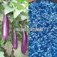 Eggplant Seeds Fortuner F1 | EASY TO GROW