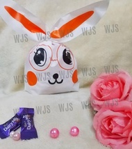 (MULTIPLE SIZES) WJS 50pcs 50 pcs Glasses Specs Orange Cute Smily Smiley Rabbito Rabbit Colorful Ear