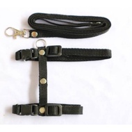 Harness hernes rope cat ferret rabbit small dog