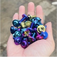 Titanium Seamless Screws Size 4mm, 5mm, 6mm, 8mm Gr5 Standard Mounted to Many Car Models - Car Acces