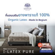 [ฟรี!ชุดผ้าปู] LOTUS ที่นอนโฟมยางพารา (สเปคนุ่มแน่น) รุ่น I-Latex Pure หนา 11 นิ้ว ส่งฟรี