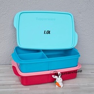 Tupperware Jollitup Lunch Box (1 PC) 1.0L with Divider - Maroon &amp; Turquoise