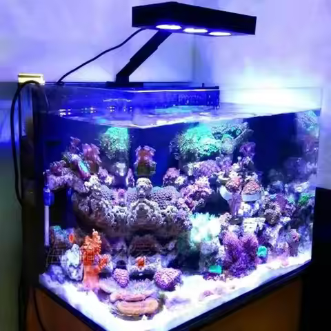 Spectra Aqua knight V1 LED Aquarium Light 30W Saltwater Lighting with Touch Control timer 8/10/12H f