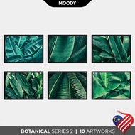 MOODY BOTANICAL Framed Poster | Botanical 2nd Series Poster Frame | Wall Art Wall Decor | A4 A3 A2 A