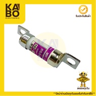 Fuse RGS4 100A/690V Size 12x77mm