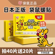 Japan Alice Warm Baby Warmer Official Genuine Heating Pad Foot Warmer Pad Hot Pad Children Hot Pad W