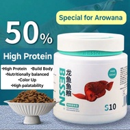 BESSN Super Premium Arowana Fish Food Arowana Fish Pellet / Arowana Fish Stick / makanan Ikan kelisa