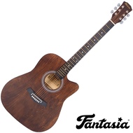 Fantasia Acoustic Guitar 41 Inch Concave Neck Model F101 + Bag &amp; Pick ** Beginner